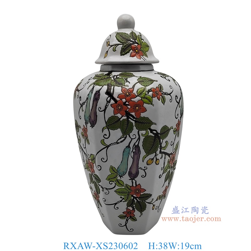 RXAW-XS230602 白底彩绘茄子花果纹将军罐小号 高38直径19