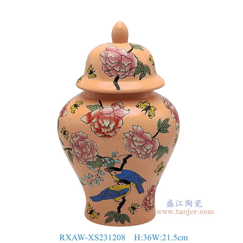 RXAW-XS231208 粉红底彩绘花鸟将军罐 高36直径21.5