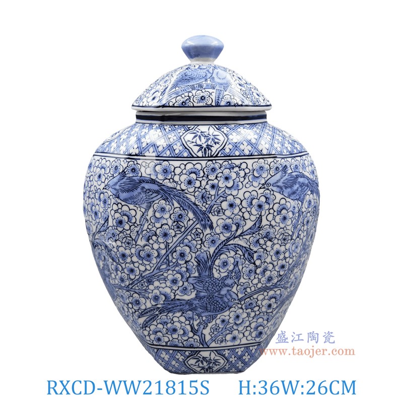 RXCD-WW21815S青花复古花鸟罐小号高36长26宽13