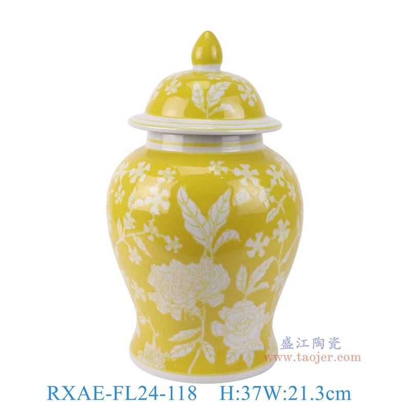 RXAE-FL24-118黄底白花叶纹将军罐正面图